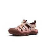 Women's Newport H2  |  Gradient Cameo Rose