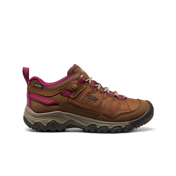 Women's Targhee IV Waterproof Hiking Shoe  |  Bison/Beaujolais