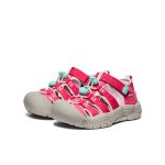 Little Kids' Newport H2 | Raspberry/Giggle Pink