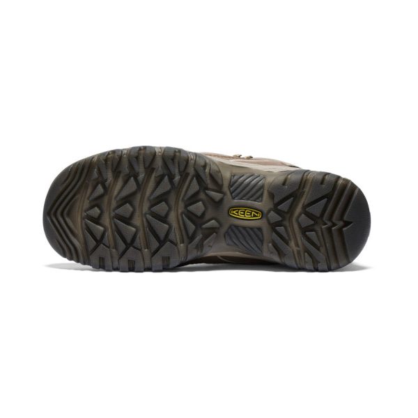 Women's Targhee IV Waterproof Hiking Boot | Brindle/Nostalgia Rose