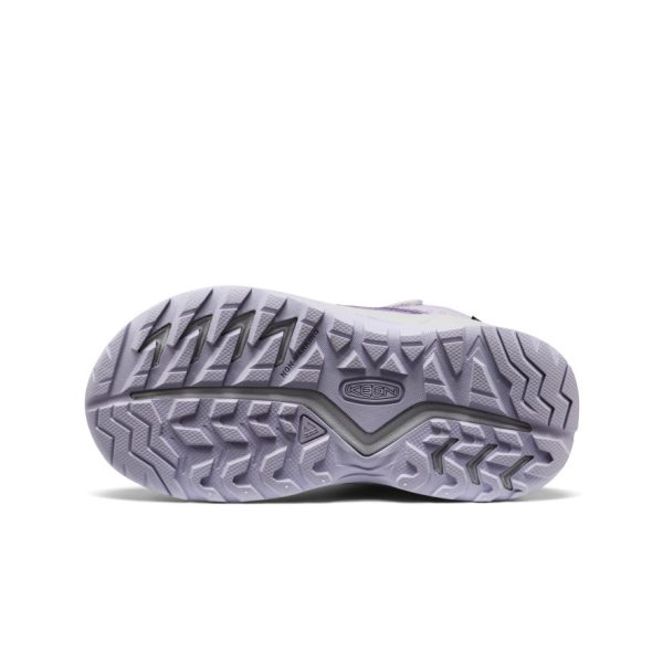 Little Kids' Hightrail Waterproof Hiking Boot | Purple Haze/Thistle