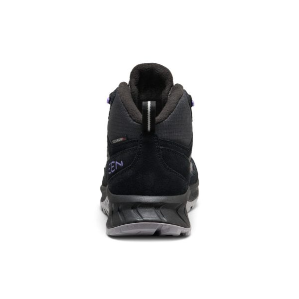 Women's Hightrail Polar Waterproof Hiking Boot  |  Black/Aster Purple