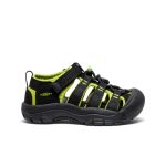 Little Kids' Newport H2  |  Black/Lime Green