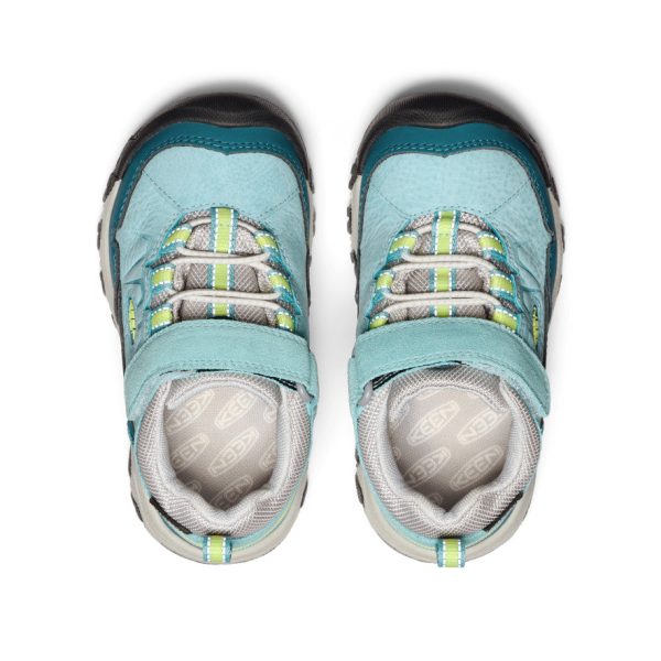 Little Kids' Targhee IV Waterproof Hiking Shoe | Reef Waters/Daiquiri Green