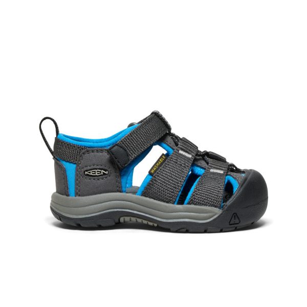 Toddlers' Newport H2 | Magnet/Brilliant Blue