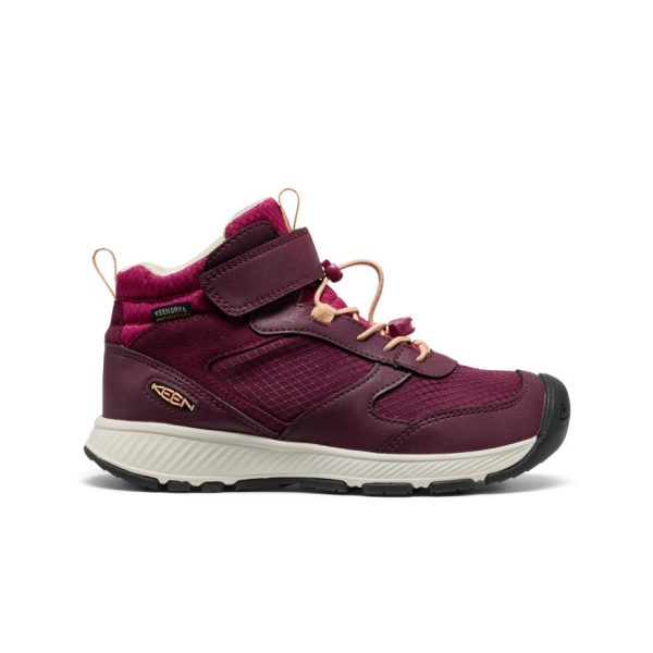 Big Kids' Skua Waterproof Boot | Fig/Peach Fuzz