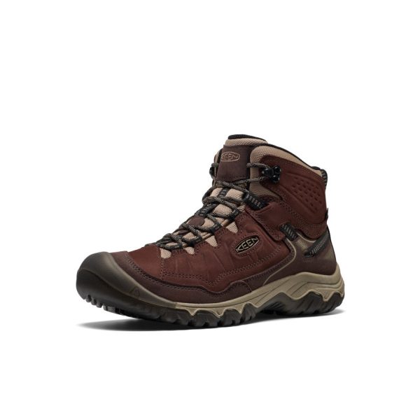 Men's Targhee IV Waterproof Hiking Boot | Java/Brindle