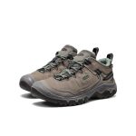 Women's Targhee IV Waterproof Hiking Shoe | Steel Grey/Lily Pad