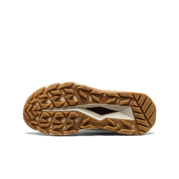 Women's Targhee Apex Waterproof Hiking Shoe | Fig/Naval Academy