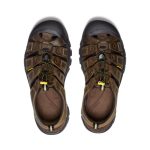Men's Newport Leather Sandal Wide  |  Bison