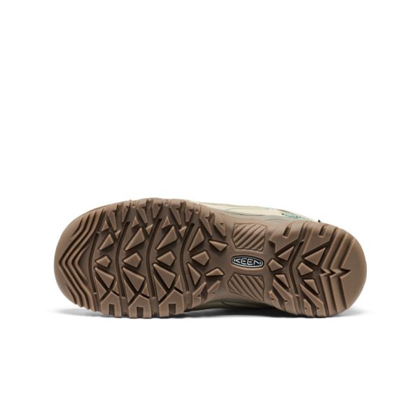 Women's Targhee IV Waterproof Hiking Shoe | Abbey Stone/Lily Pad