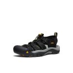 Men's Newport H2 Sandal Wide  |  Black